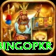 bingopkr Pro