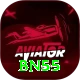 Bn55