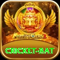 cricket bat Premium v3.4.4