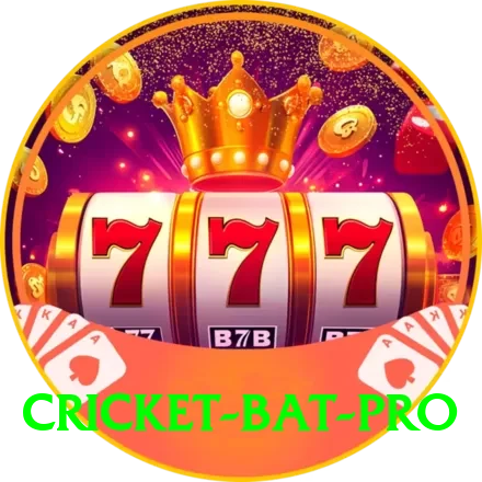 cricket bat App - 2