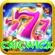 cricwick App Super vv2.1.2
