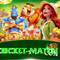 india cricket match Master vv1.5.3