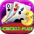 india pakistan cricket Premium Plus vv1.6.7