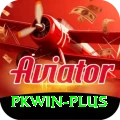 pkwin Plus v5.7.9