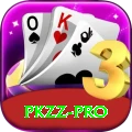 PKZZ App Plus vv1.9.0