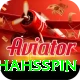 shahsspin Premium v4.3.8