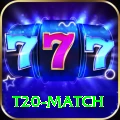t20 match Platinum Pro vv4.9.5