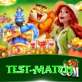 test match Max vv5.0.1