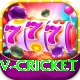 v cricket VIP