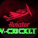 willow cricket Apps (Tools & Injectors) Platinum vv5.3.4