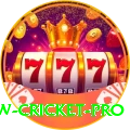 willow cricket Platinum Pro vv3.1.6