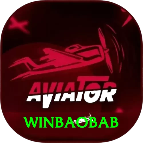 winbaobab Premium Plus vv3.0.3 - 2