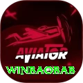 winbaobab Premium Plus vv3.0.3